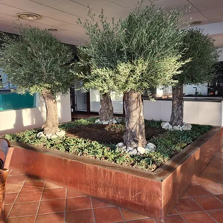 Appartement Bellavista